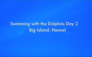 Swim 2 with the Dolphins, Big Island